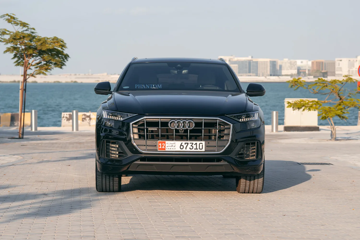 Audi Q8 full