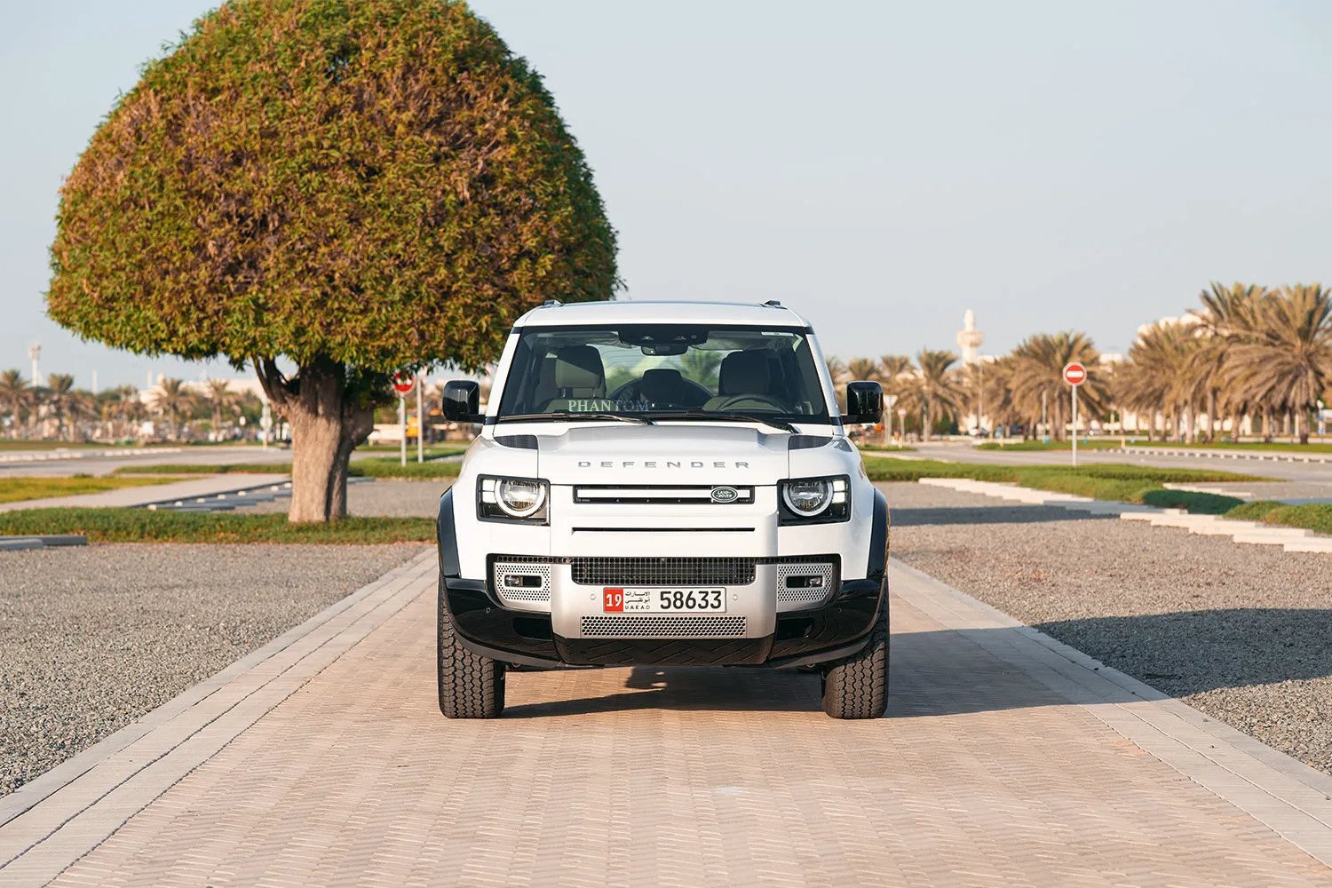 Land Rover Defender 110 S V4 full